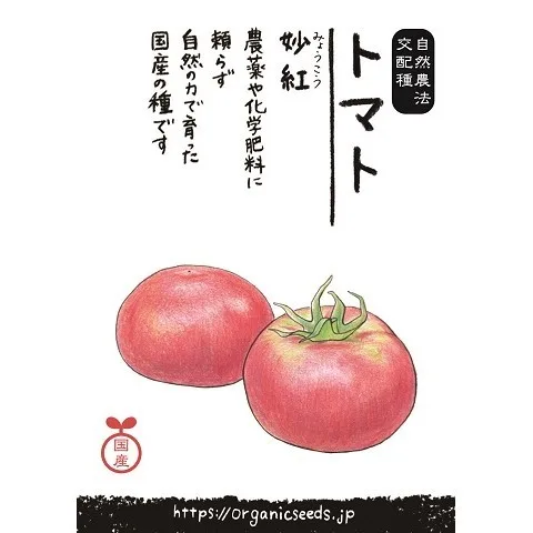 国産自然農法交配種トマト妙紅 - 国産・自然農法種子 - 有機種子の